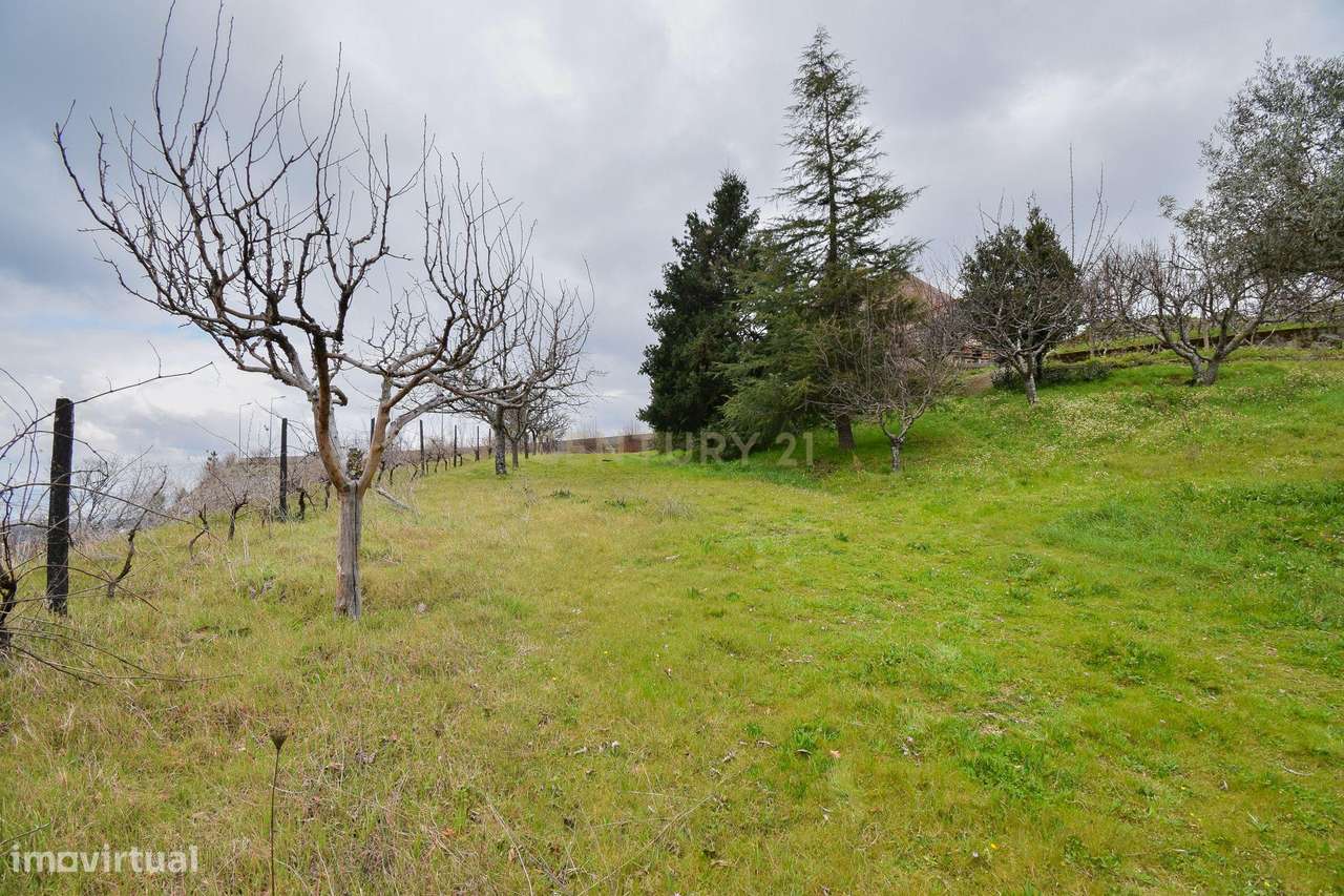 Quinta com construção em Pedra 20.000 m2 de terreno e Licença de Aloja-36