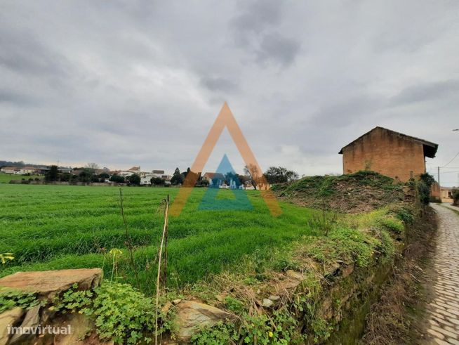Quinta em Válega - Ovar-4