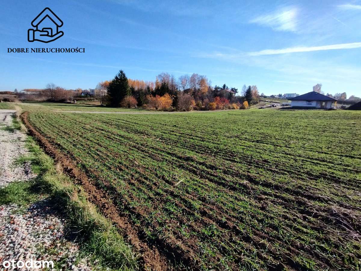 Budowlana 0,17ha przed obwodnicą - Snopków/Marysin - Pełny obrazek: 5/7