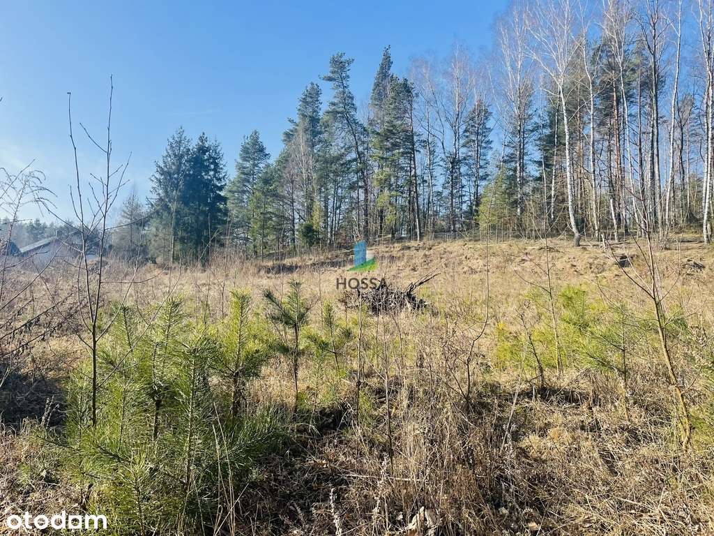 Działka z warunkami zabudowy w Więckowie - Pełny obrazek: 5/18