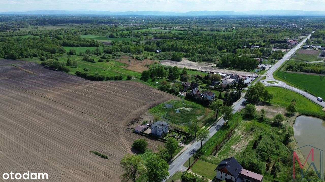 Działka usługowo- rolna Kopciowice gmina Chełm Śląski - Pełny obrazek: 5/15