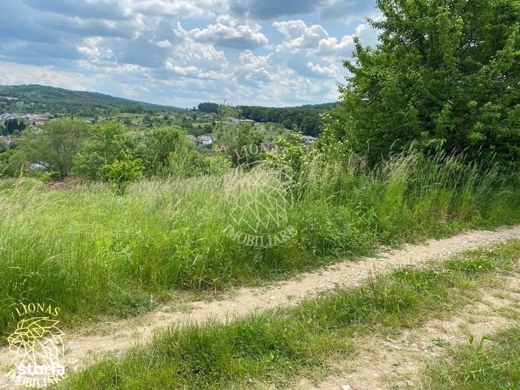 Teren intravilan 2800 mp cu utilitati-ideal case-Valea Ghinzii - Imagine principală: 4/9