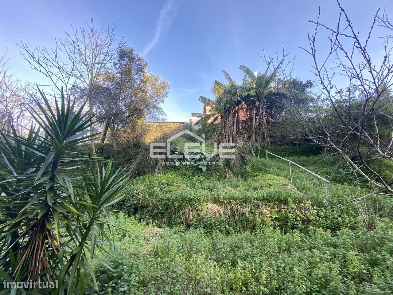 Casa de Campo em Venade-16