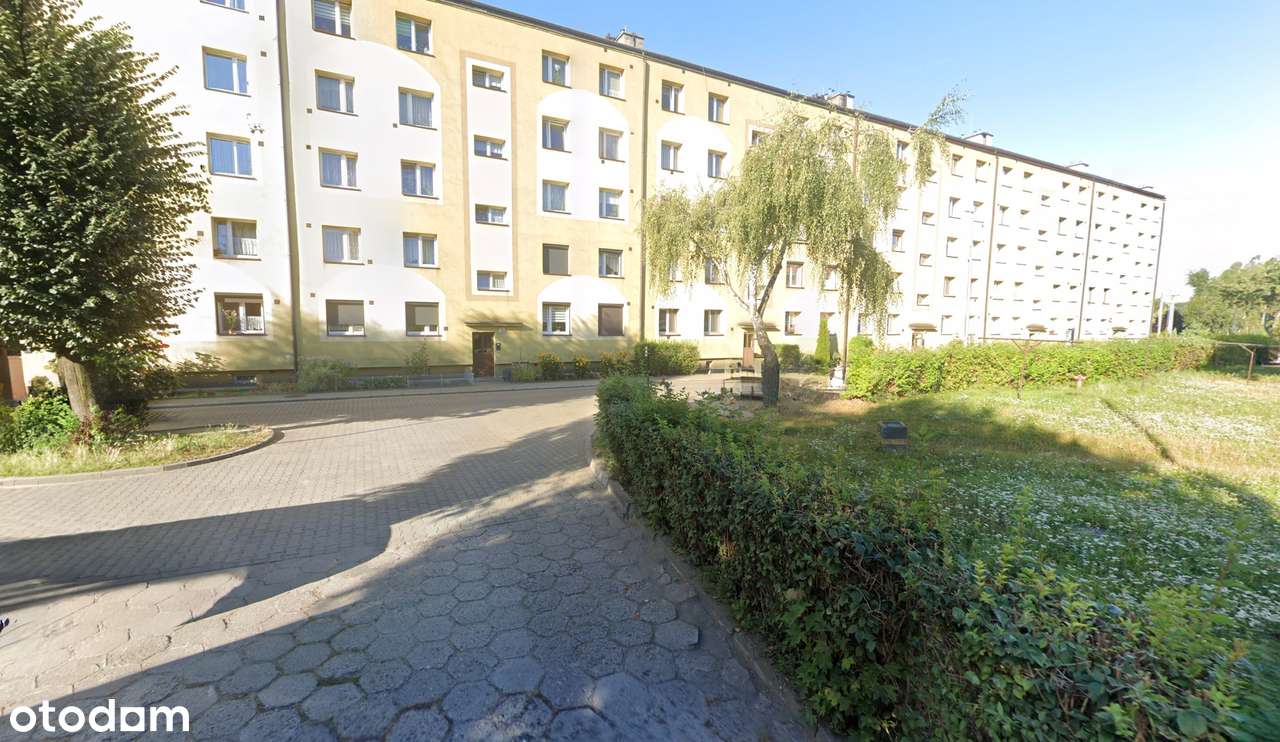 Okazja ! 28m² na 1. piętrze | Niski czynsz 250 zł | Środkowe i ciepłe-6