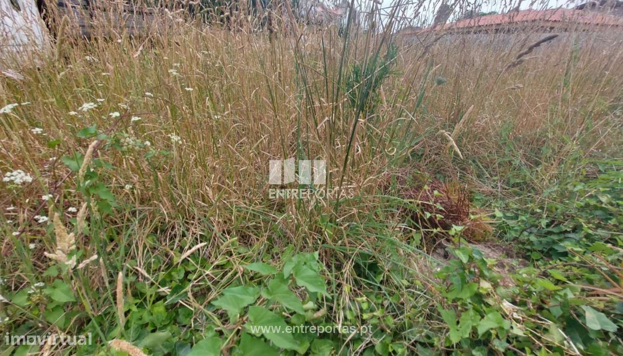 Terreno 3550 m2, Argivai, Póvoa de Varzim - Grande imagem: 4/12