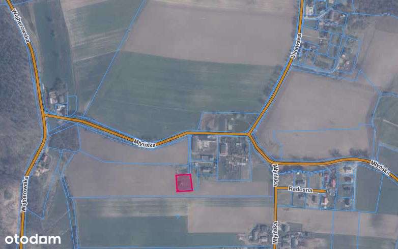 Budowlana działka w malowniczym Lisewie.-3