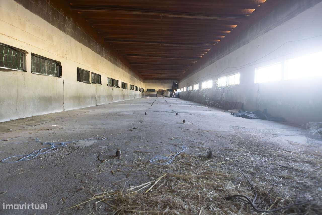 Quinta  5hct Rústica / Urbana com Potencial Único -  Branca - Coruche-11