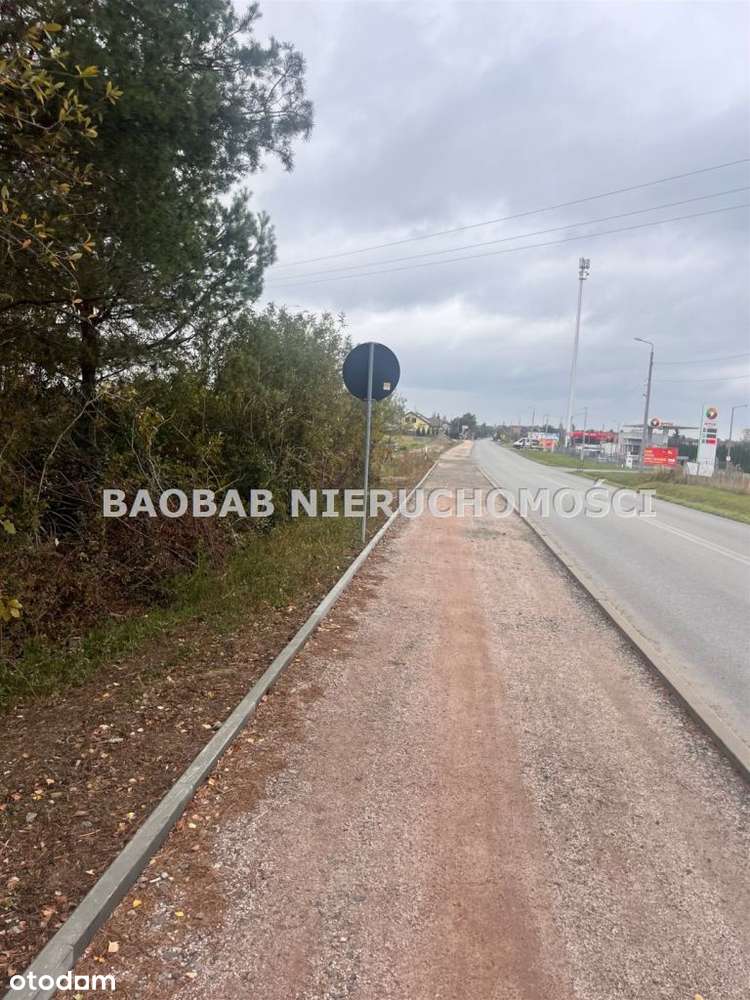 Ustanów 3,8 ha trzy działki - Pełny obrazek: 3/5