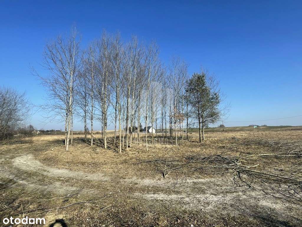 Działki budowlane z dostępem do jeziora - Pełny obrazek: 4/12