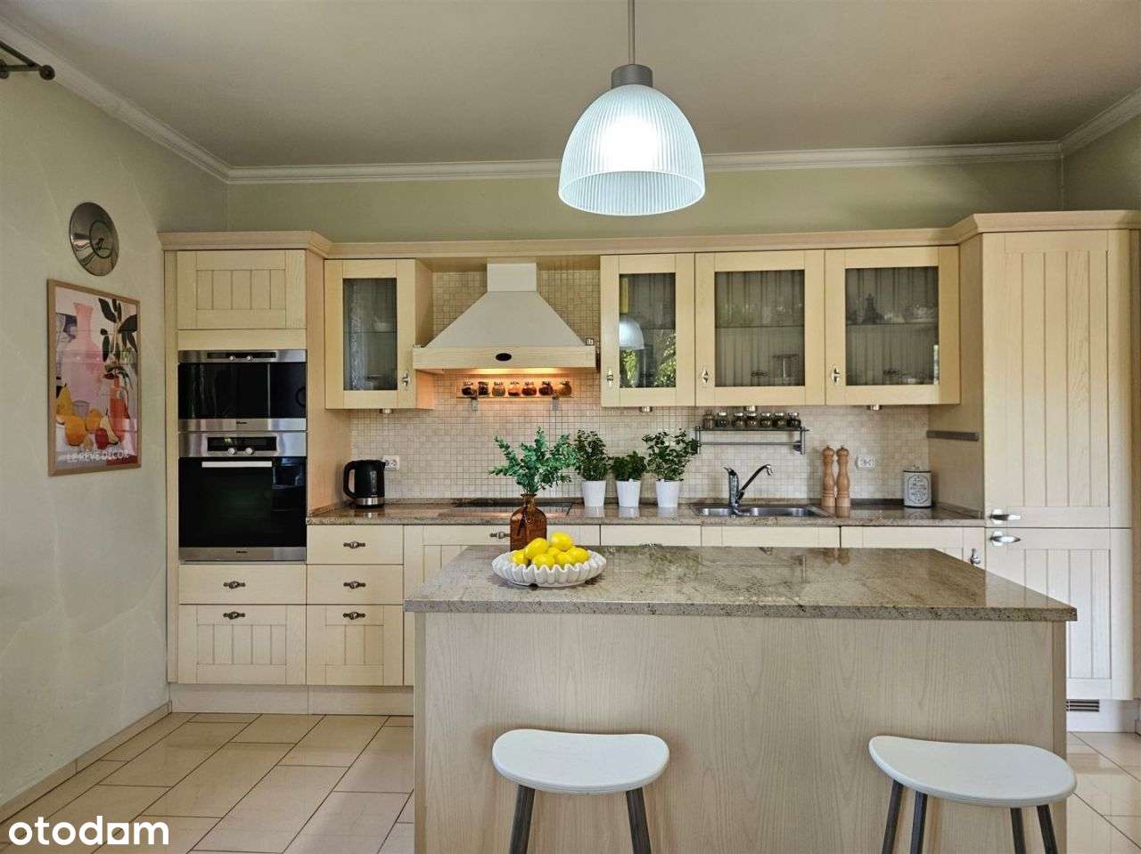 Siedliskowa rezydencja z dużym pięknym ogrodem-7