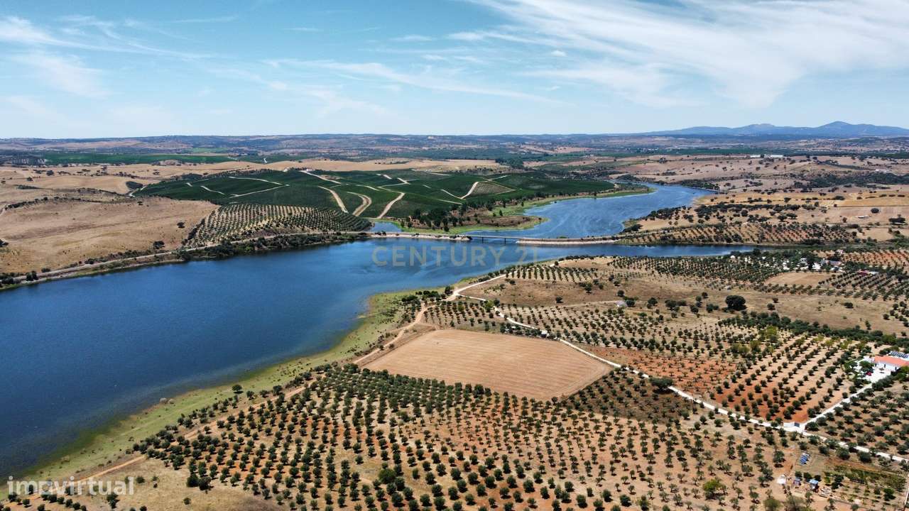 Monte Alentejano T3 Autónomo | Energia Solar, Olival junto ao Alqueva - Grande imagem: 4/12