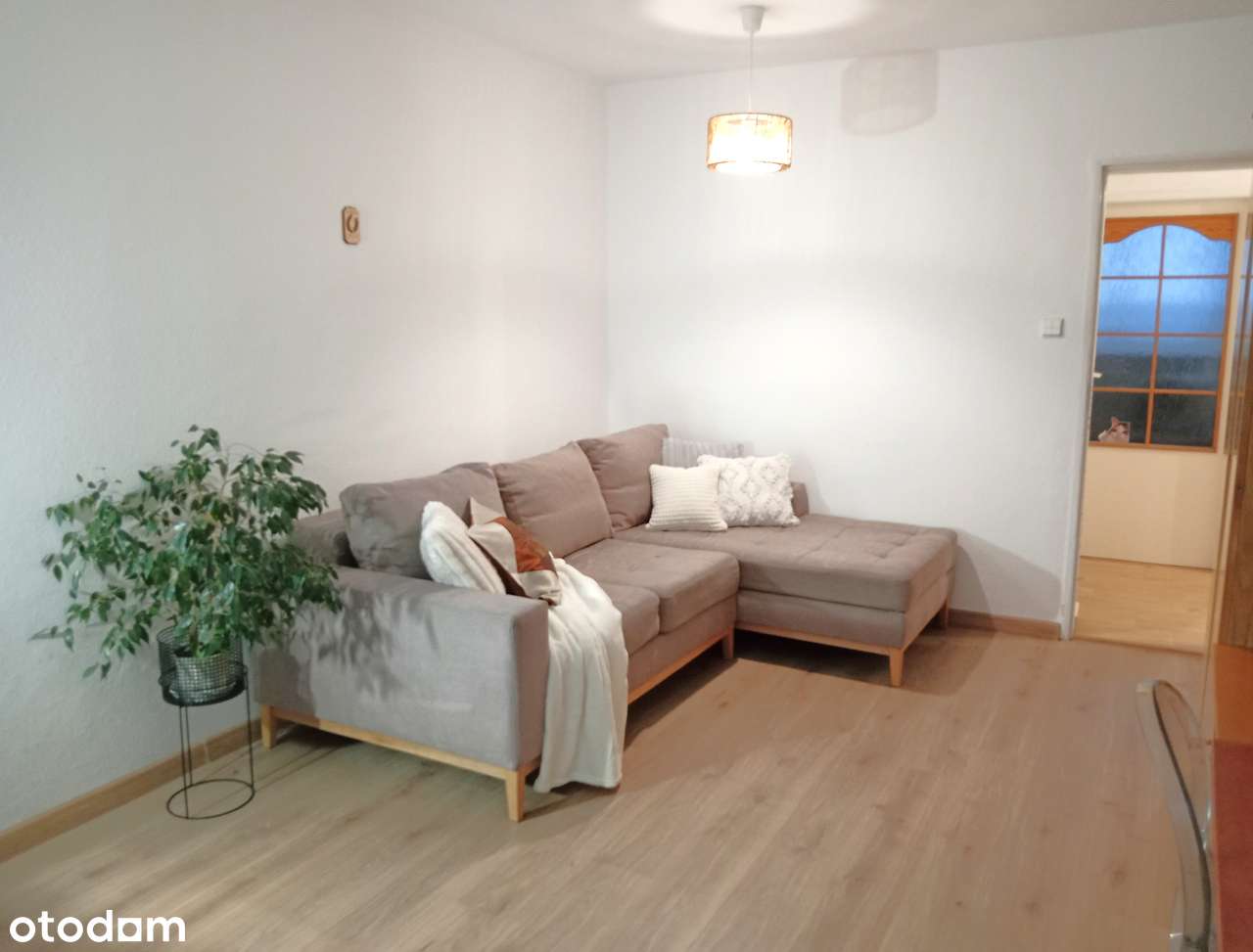 PO REMONCIE, 3 pokoje, 2270 zł, Chabrów - Pełny obrazek: 5/13