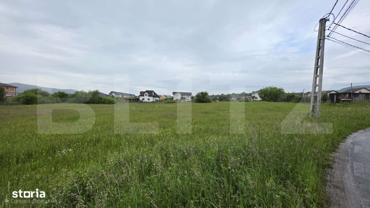 Teren intravilan, 48,3 ari zona Valea Rusului, - Imagine principală: 3/4