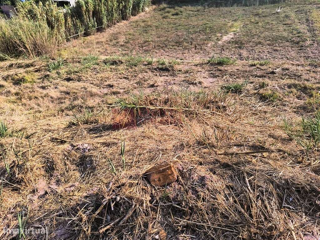 ERICEIRA - FONTE BOA DOS NABOS - LOTE DE TERRENO URBANO COM 330 M2-18