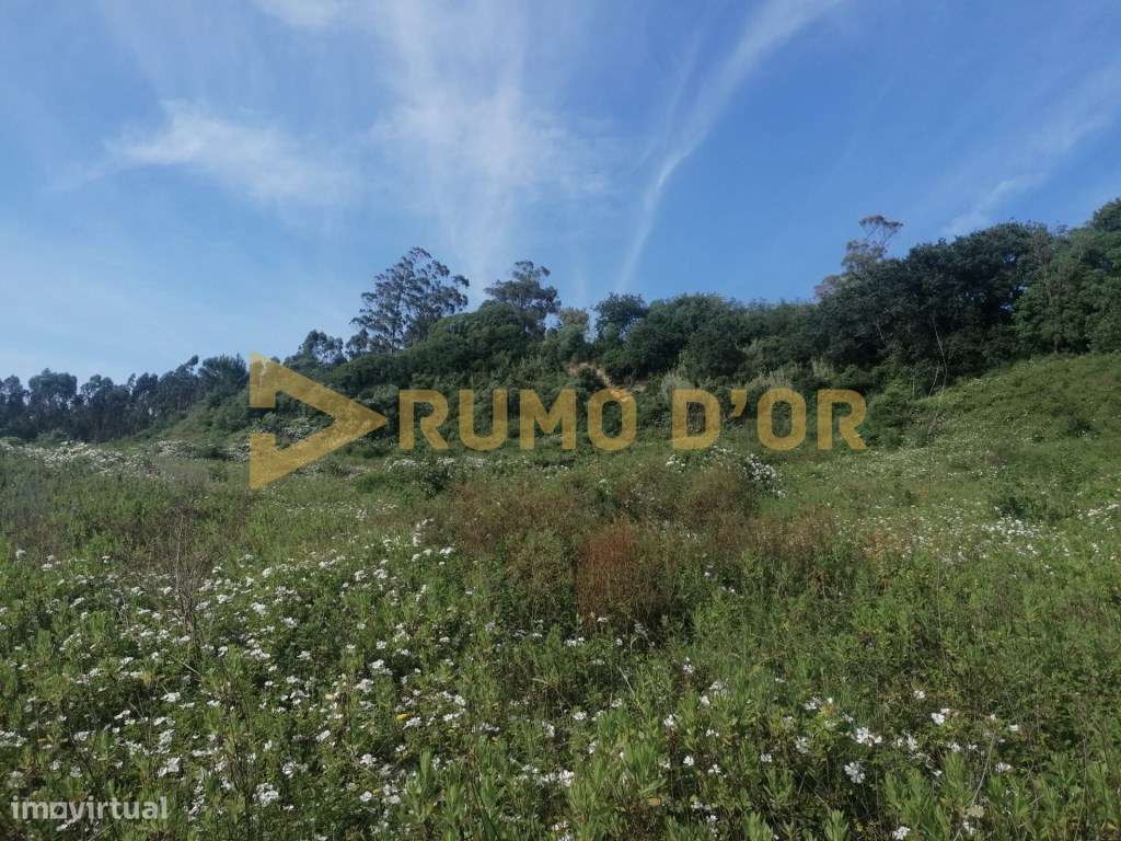 Terreno Rustico Santo Quintino - Grande imagem: 5/13