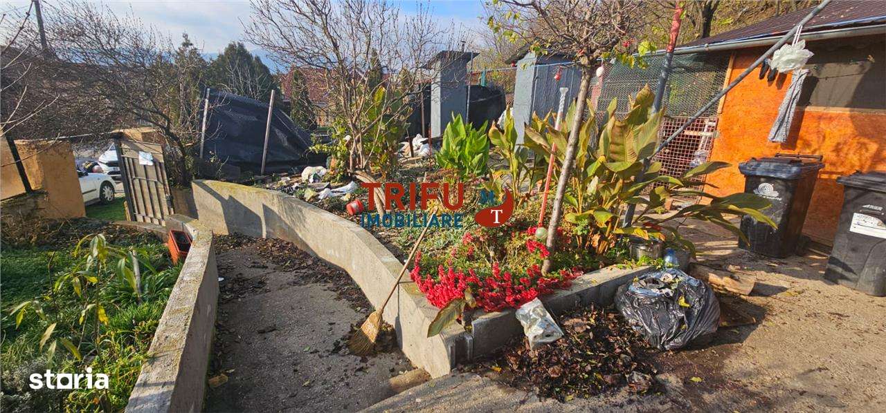 Căsuța din Barabant: O Afacere Mai Bună Decât Un Apartament? (Posibil! - Imagine principală: 4/14