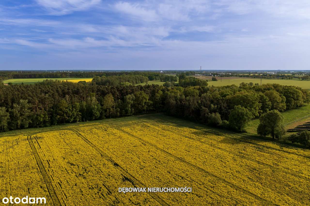 II etap sprzedaży / Atrakcyjne nowe osiedle w Gronówku / blisko Leszna-13