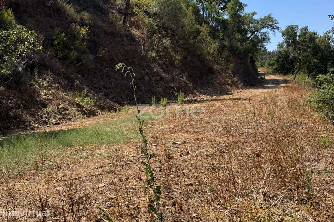 Terreno Rústico com 2000m2 - Monchique - Grande imagem: 3/23