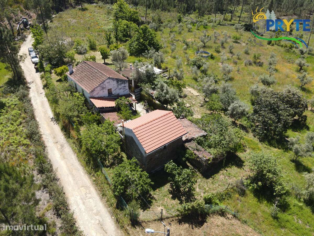Quinta com 2 hectares de área total-sinónimo de privacidade e sossego-34