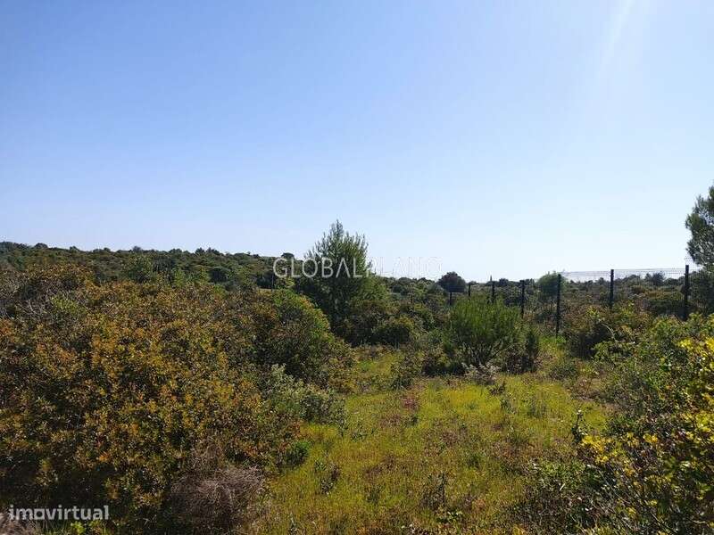 Terreno Rústico Odiáxere, Lagos - Grande imagem: 1/7