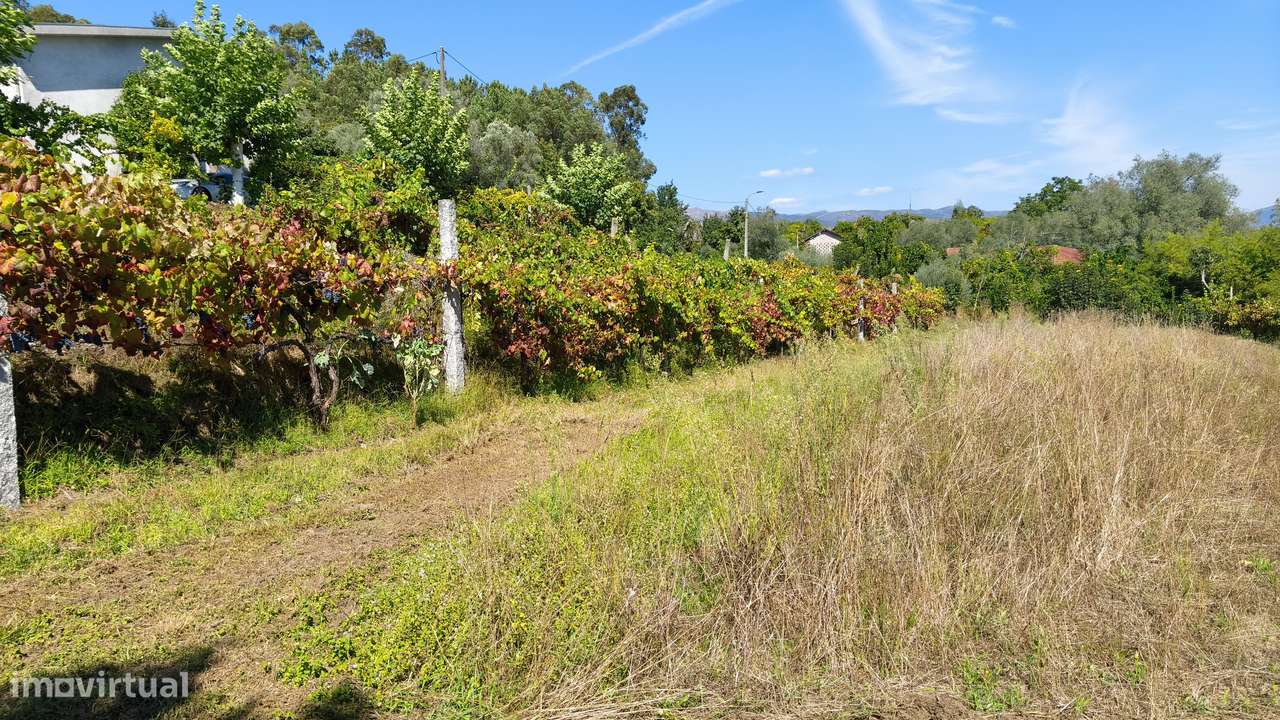 Terreno em Dornelas; Amares-6