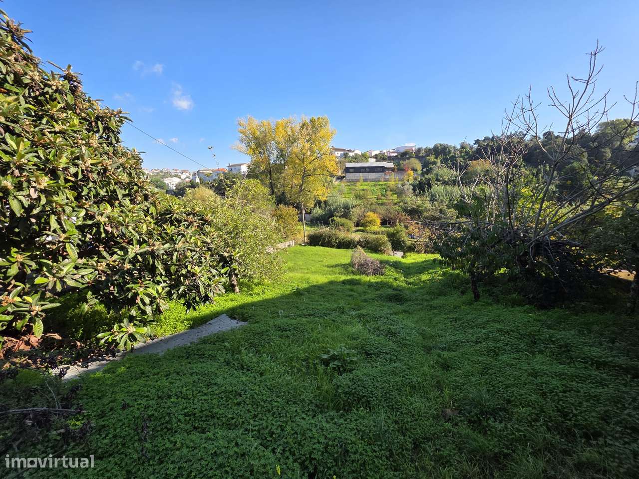 Terreno para Construção em Coimbra – 1.260m²-10