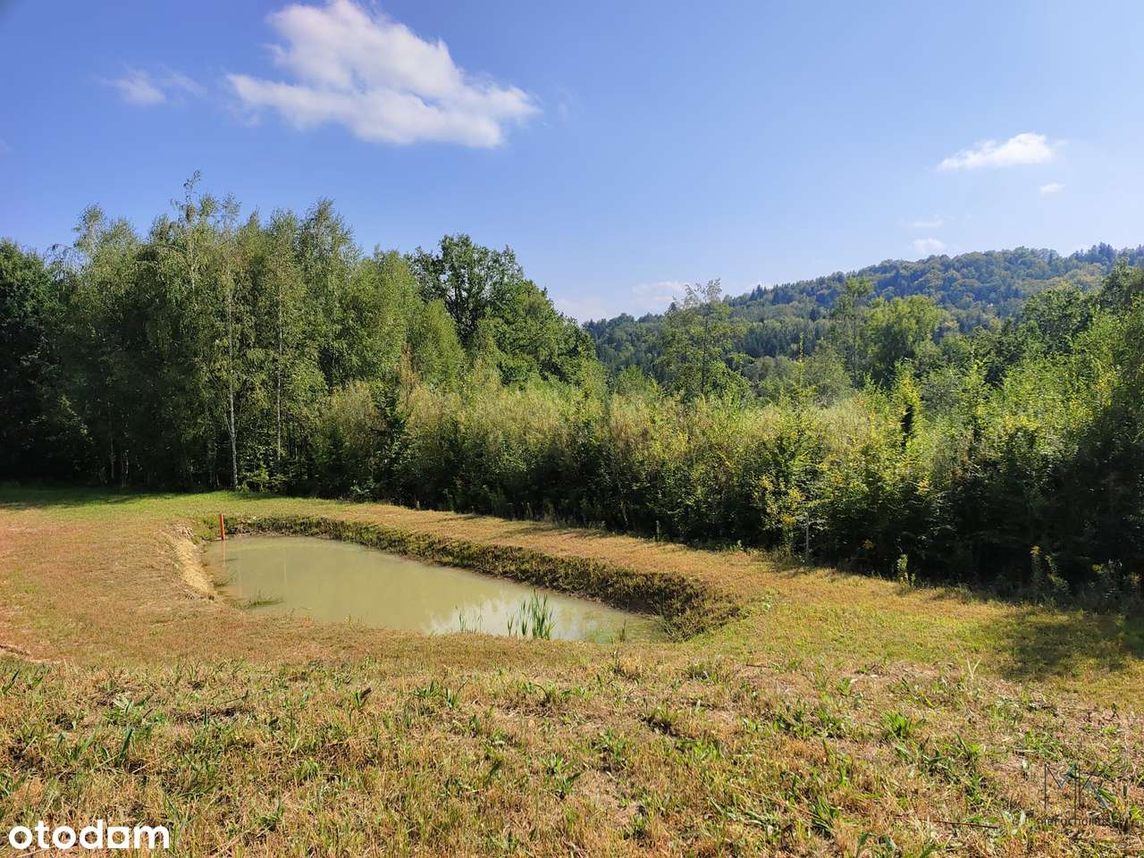 Kobylec, gmina Łapanów – działka budowlana z własnym stawem.-8