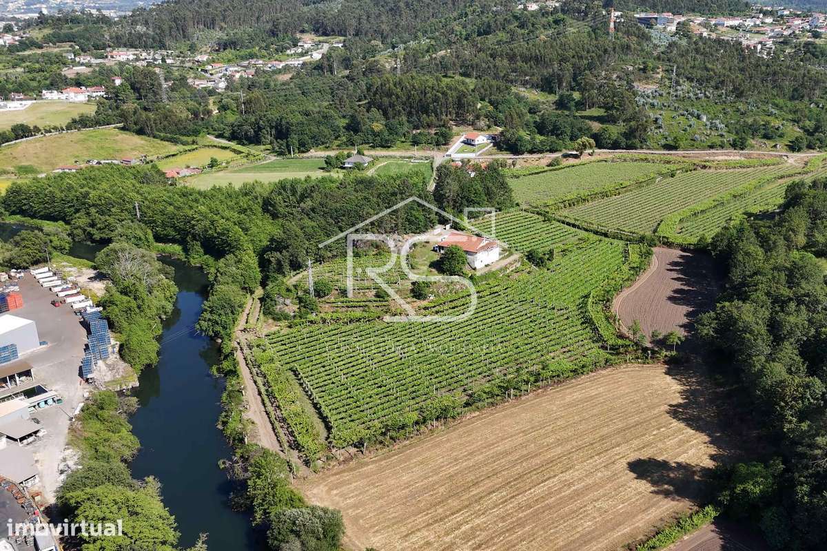 Quinta T6 | Selho São Jorge, Guimarães-5