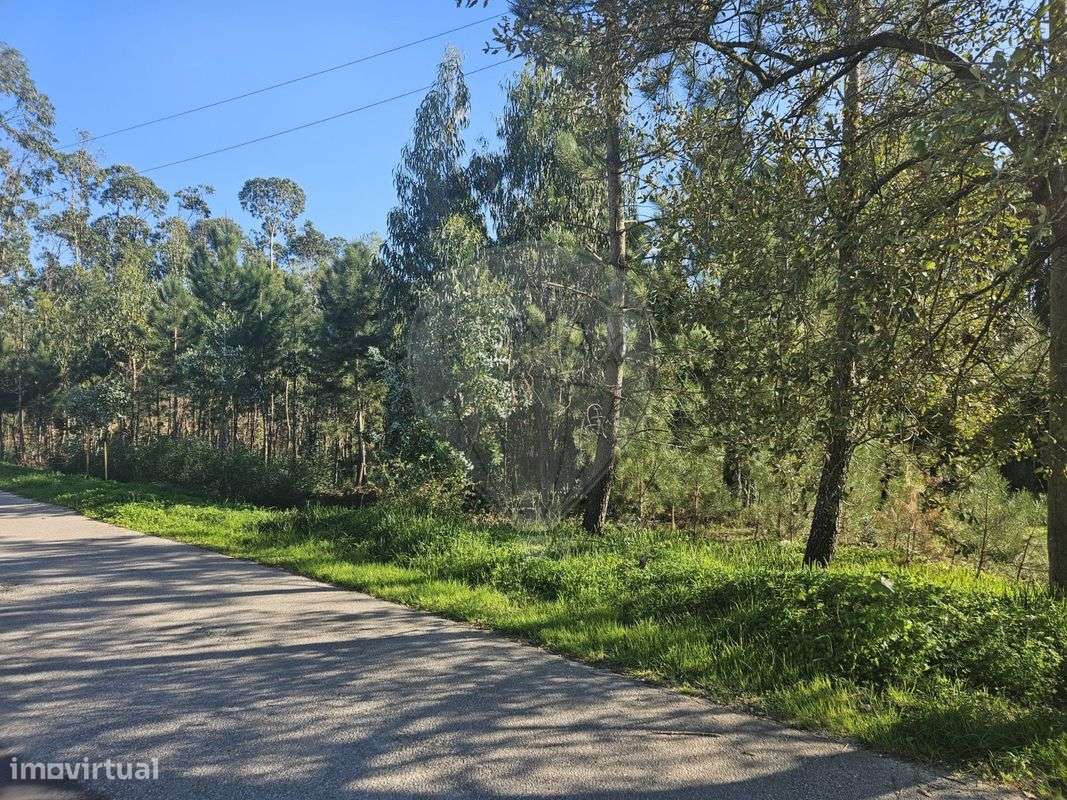 Terreno  para venda - Grande imagem: 3/8