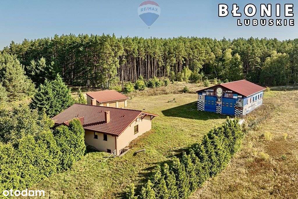 Dom parterowy, wysoka hala, garaże i pół hektara! - Pełny obrazek: 5/20