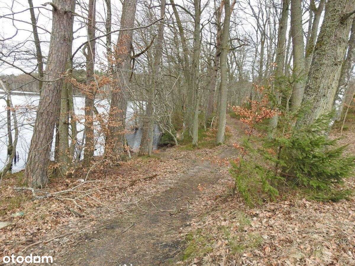 100 metrów do jeziora - Pełny obrazek: 4/8