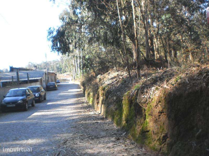 Terreno para construção de 23.000€ em Gião - Vila do Conde - Grande imagem: 4/7