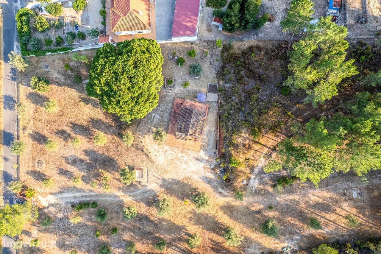 Moradia em Farinha Branca, Montargil-29