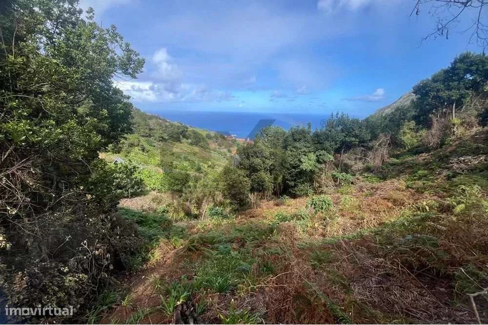 Terreno de 2090m2 no Faial: Oportunidade para Glamping ou Agroturismo - Grande imagem: 4/5