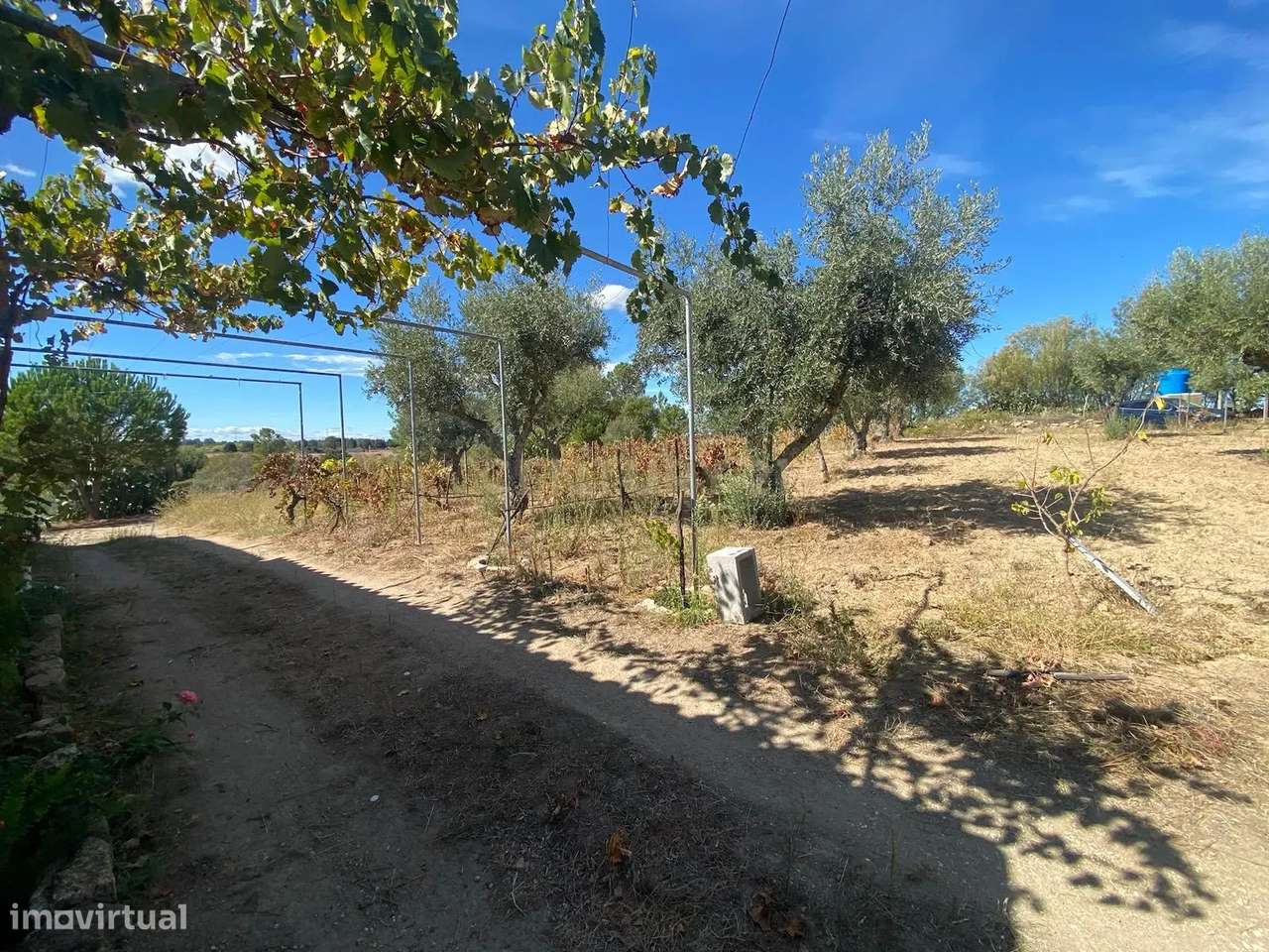 Quintinha, Escalos de Cima - Grande imagem: 3/25