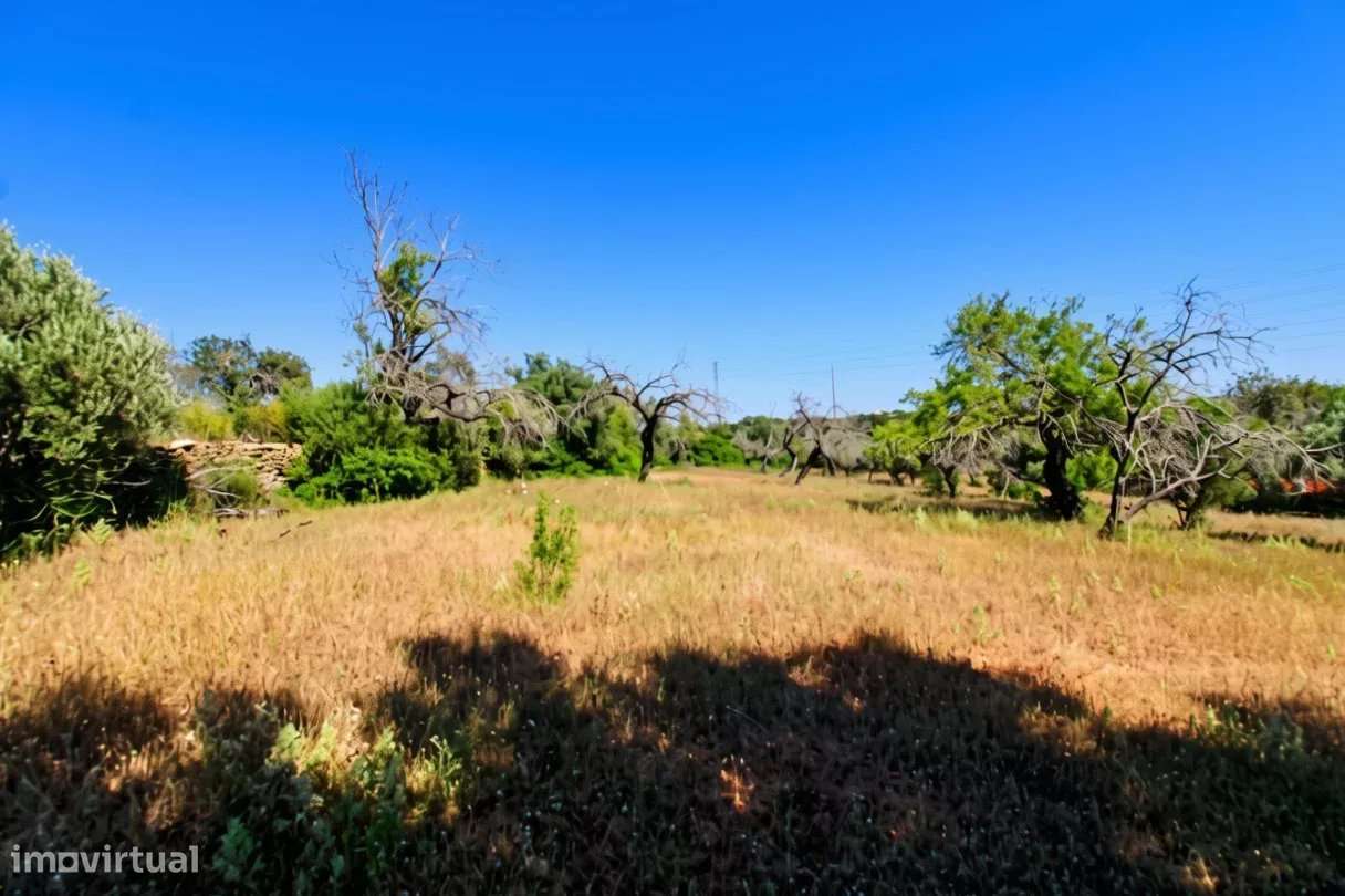 Terreno rústico de 5080 m2 à venda em Estoi, Faro-2