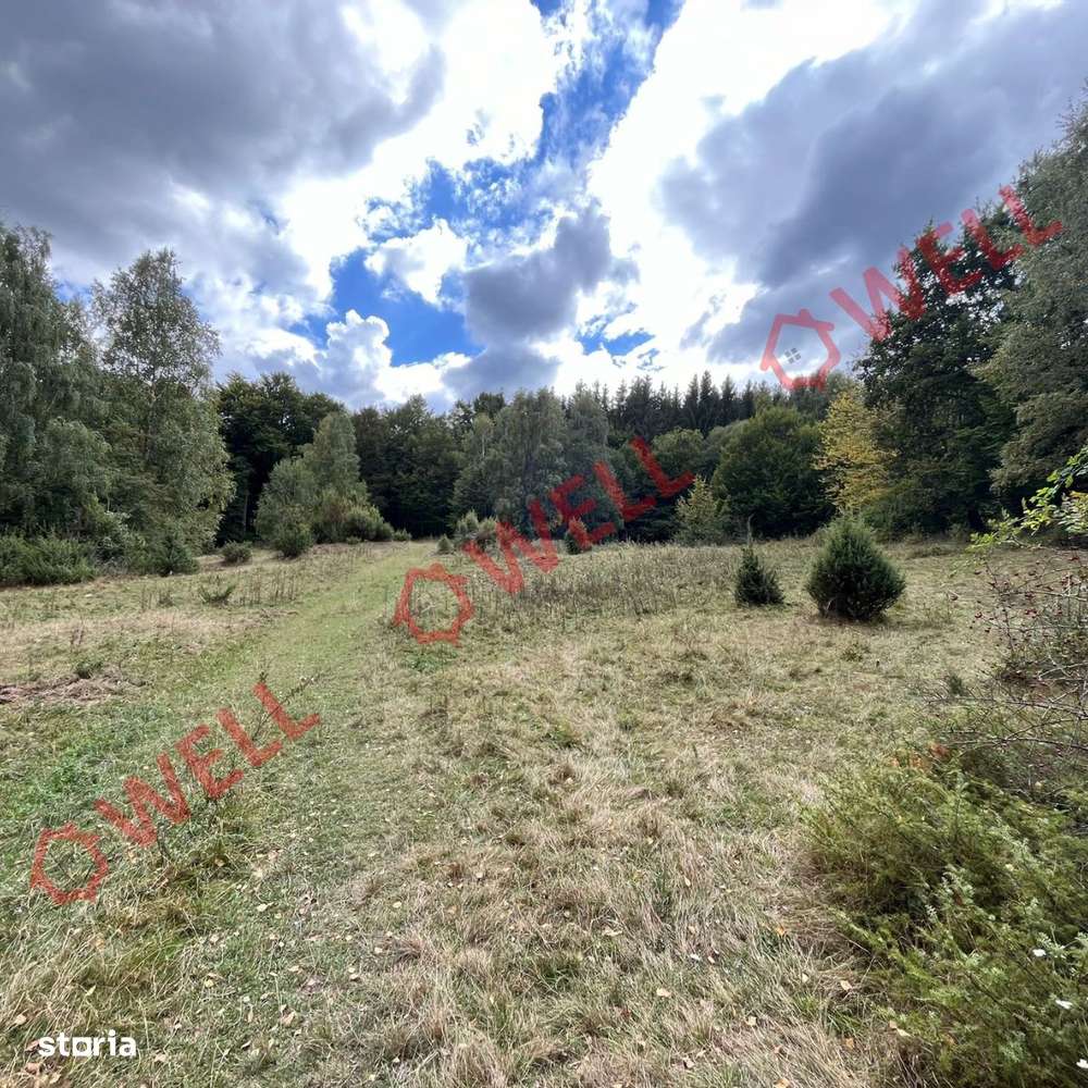 De vânzare o pășune la 5 km de Cernat! - Imagine principală: 2/4