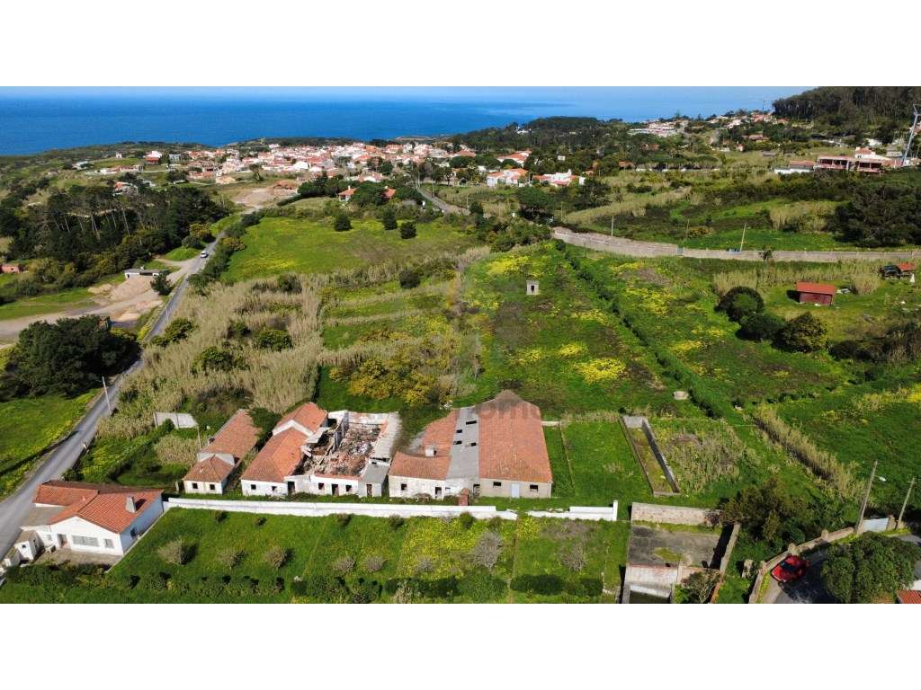 Terreno com 1,5 Hectarescom 4 Habitações junto ao Cabo da Roca-14
