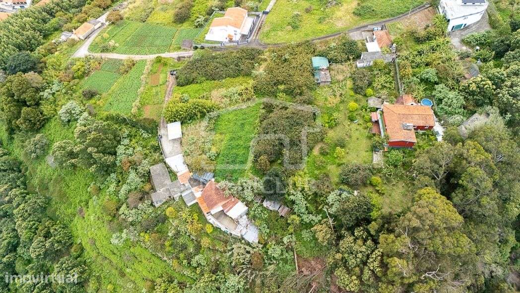 Terreno 2420 m2 - Machico-4