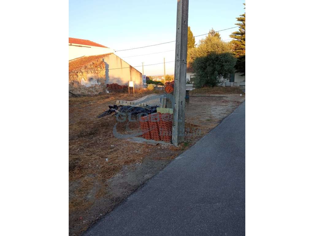 Terreno Venda Torres Novas - Grande imagem: 2/3