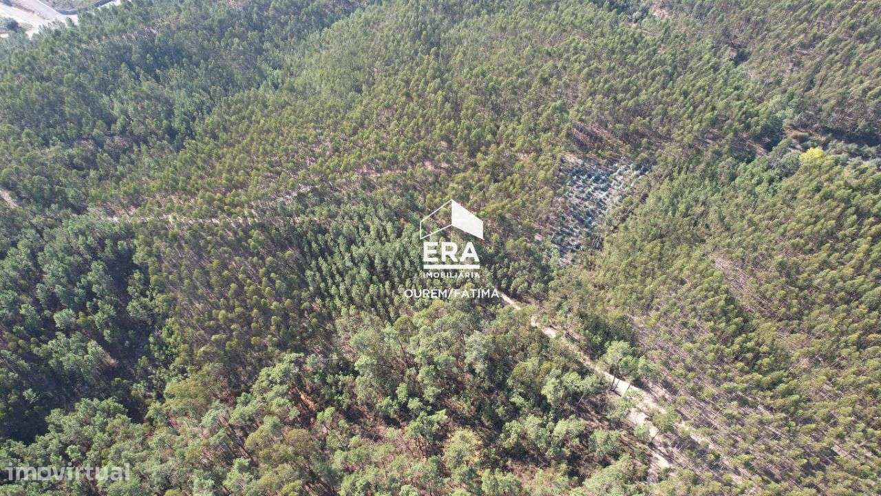 Terreno Rústico localizado no Cercal, Ourém - Grande imagem: 4/21