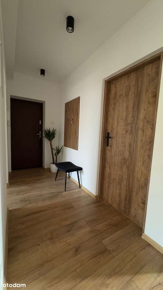 Po generalnym  remoncie, 3pokoje, wysoki parter, niski czynsz! - Pełny obrazek: 3/12