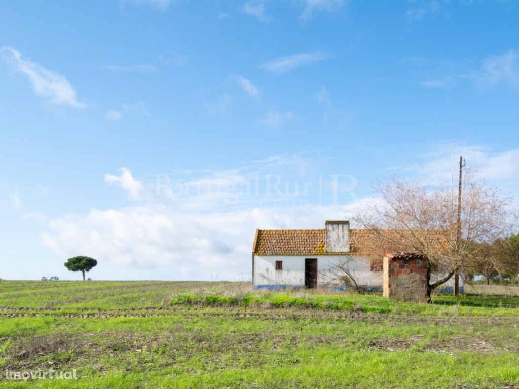 Quintinha com 1,8 ha e casa antiga na região de Canha