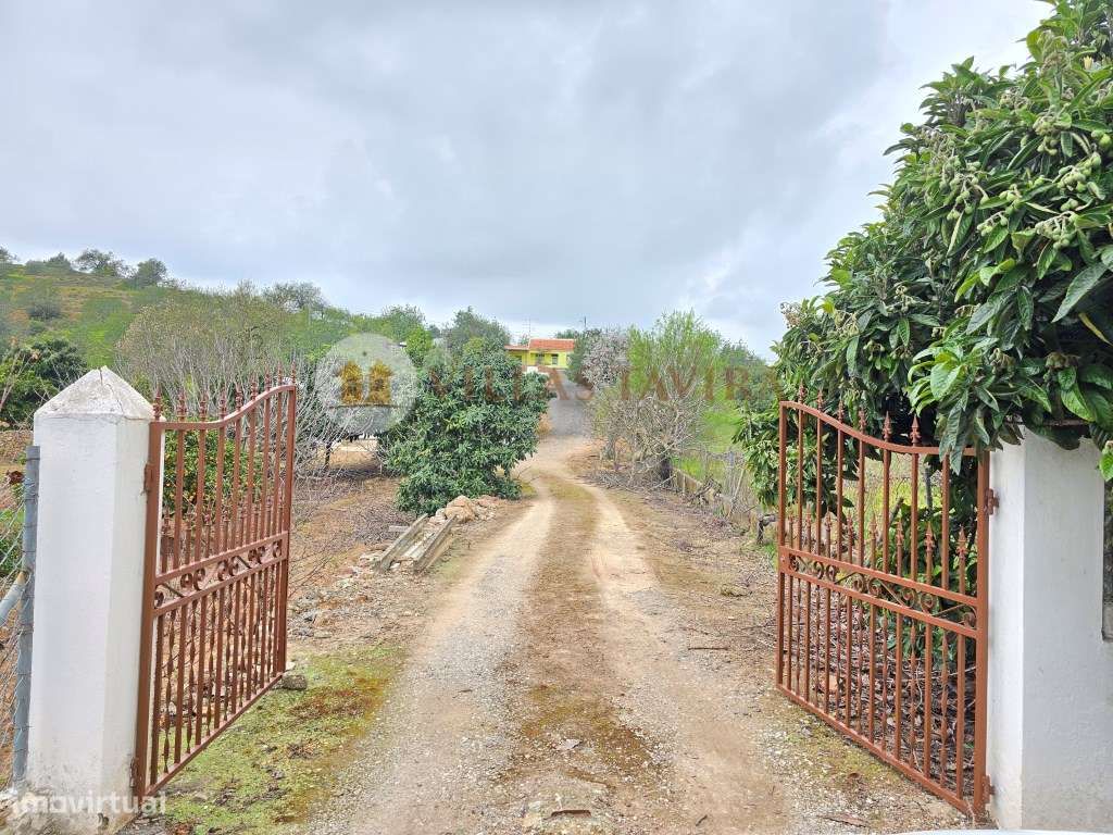 Quinta Encantadora a Poucos Minutos de Tavira - Uma Oportunidade Ún... - Grande imagem: 3/56