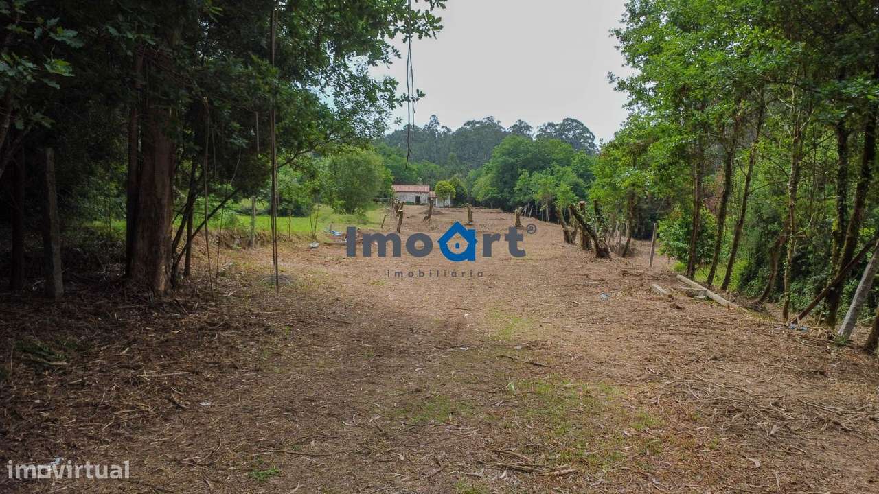 Quinta/Moradia em Pedra com 5.500 m² de Terreno em Fornelos – Ponte-5
