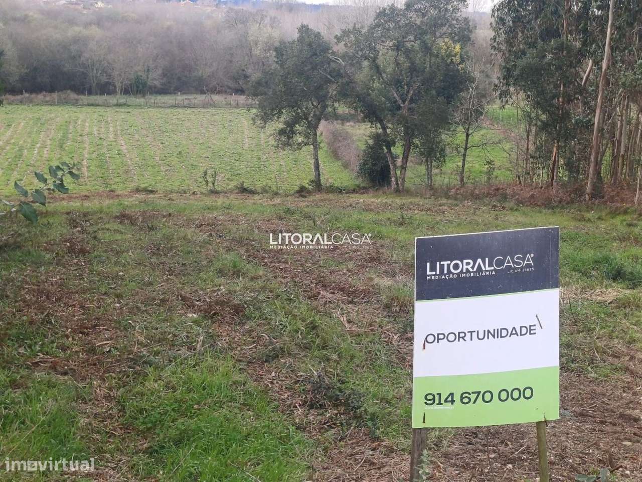 Terreno | Horta - Eixo - Grande imagem: 3/16