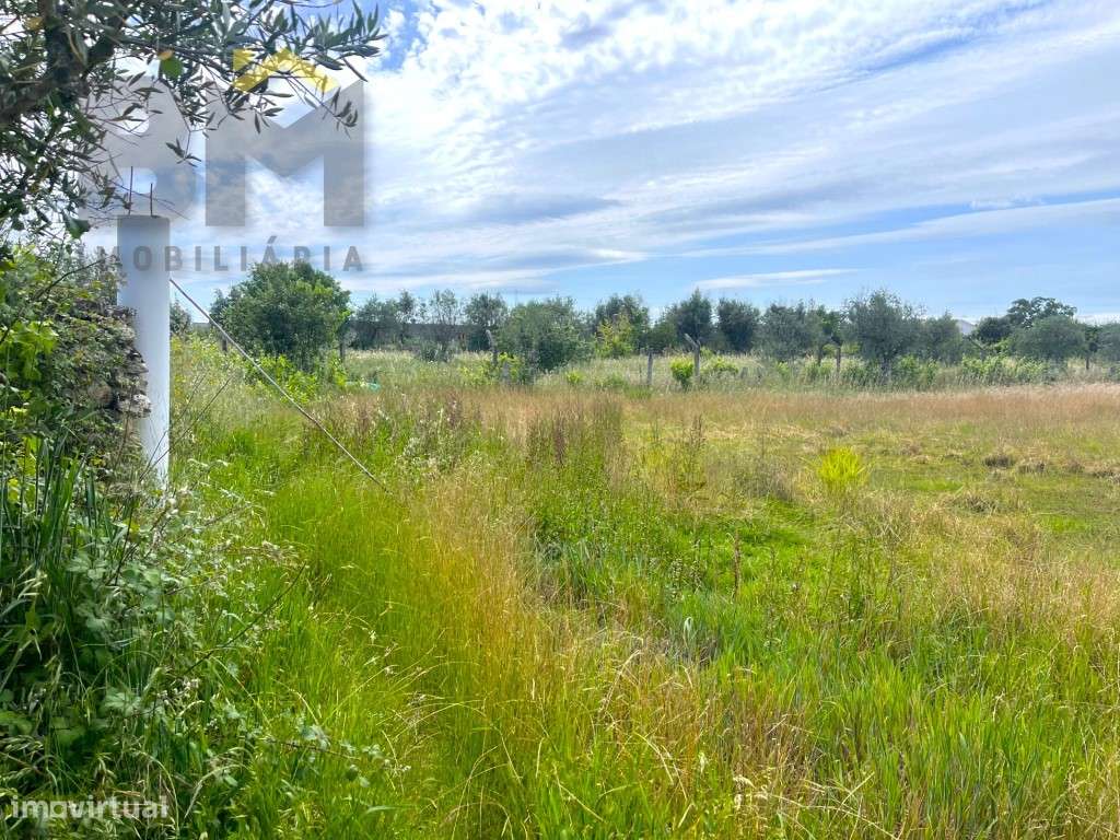 Quinta para venda em Alcains. - Grande imagem: 5/30