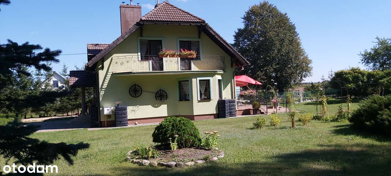 Dom pod lasem - Pełny obrazek: 4/19