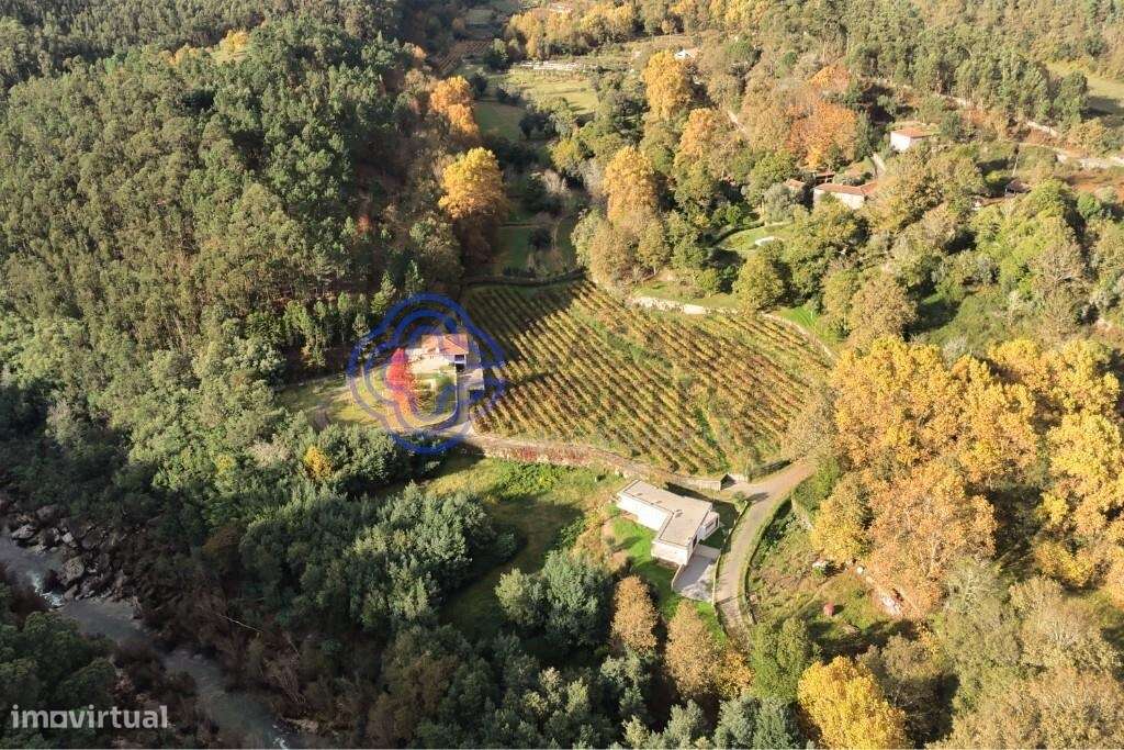 Quinta do Adigueiro – Charme, natureza e produção de vinho junto ao ri - Grande imagem: 5/60