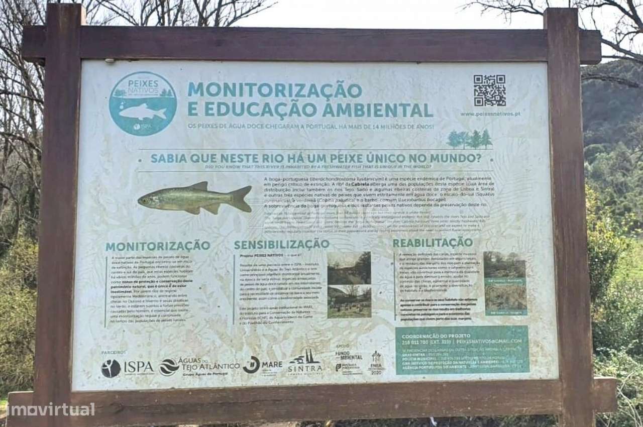 Terreno Rústico -Natureza, História e Tranquilidade na Terrugem Sin...-8